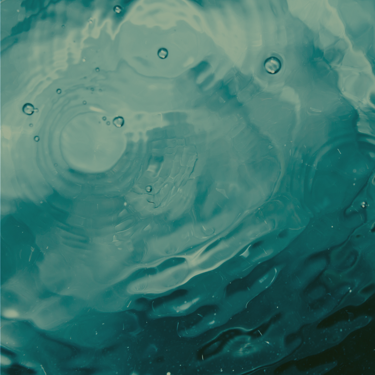 Movement & Somatic Practices